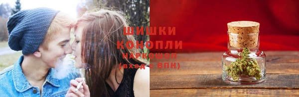ГАЛЛЮЦИНОГЕННЫЕ ГРИБЫ Алзамай