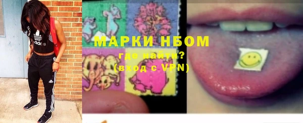 шишки Алексин