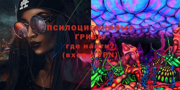 ГАЛЛЮЦИНОГЕННЫЕ ГРИБЫ Алзамай