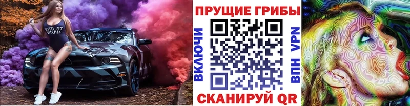 Псилоцибиновые грибы GOLDEN TEACHER mega ссылки Джанкой купить закладку